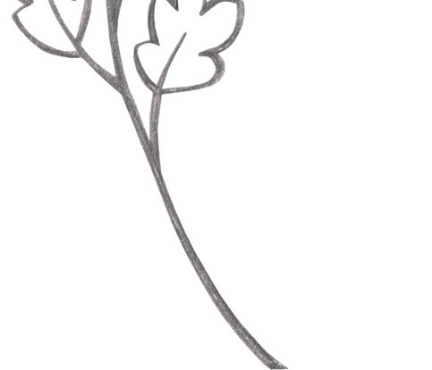 简约叶子枝干简笔画矢量元素