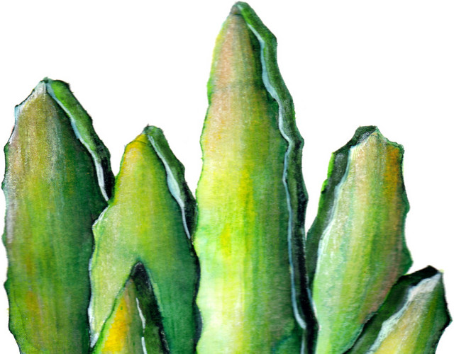 绿色植物素材下载