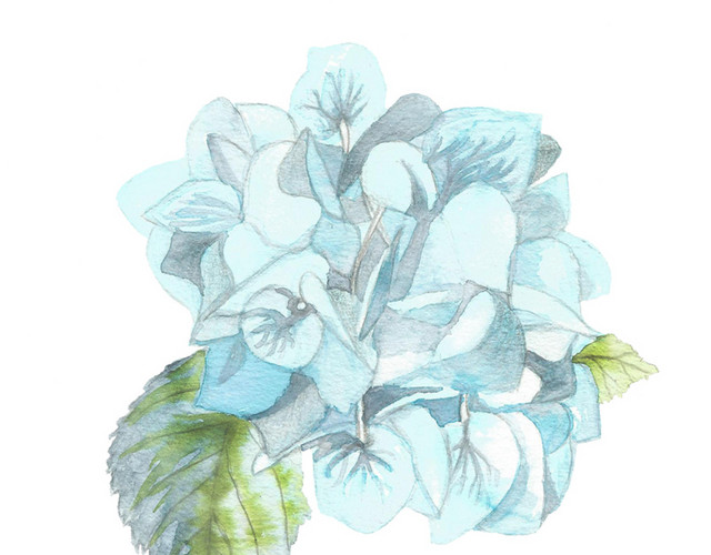 蓝色的花朵矢量元素