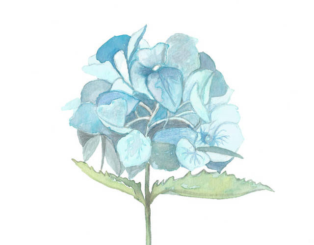 蓝色的花朵矢量元素