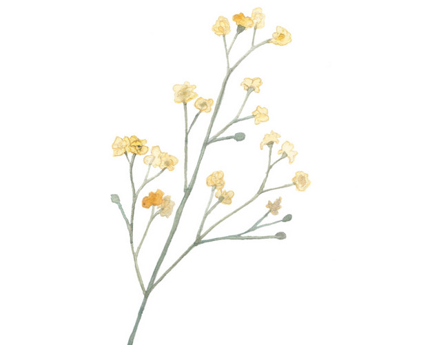 黄色的花朵矢量元素