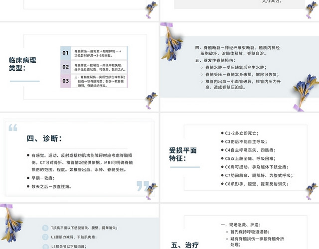 青色简约清晰医学脊髓损伤脊髓损伤PPT