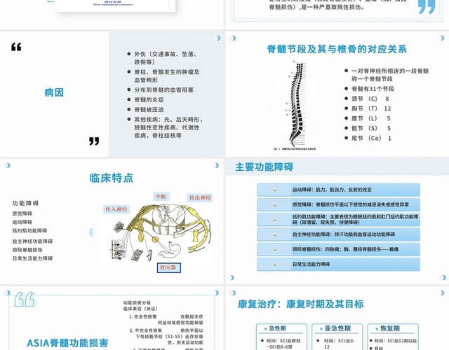 蓝色简约清晰医学脊髓损伤脊髓损伤PPT