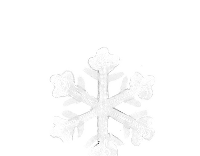 白色雪花矢量素材