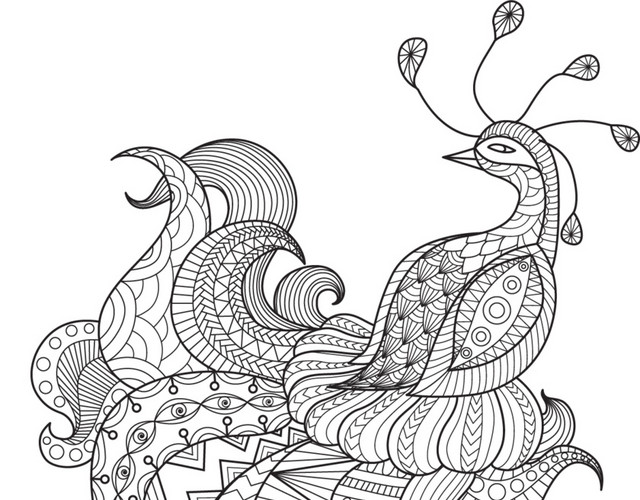 黑色花纹小鸟装饰
