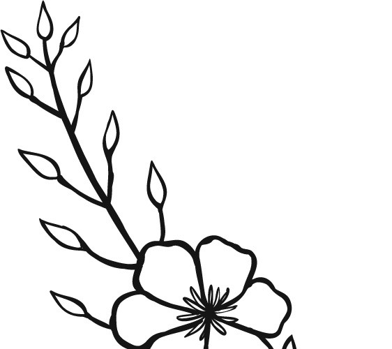 黑白卡通花卉简笔画矢量素材