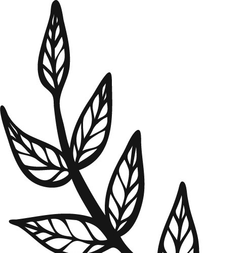 黑白卡通植物简笔画矢量素材
