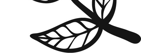 黑白卡通植物简笔画矢量素材