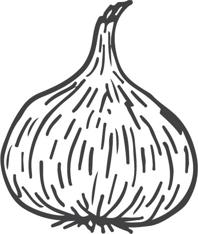 黑白卡通大蒜简笔画矢量素材