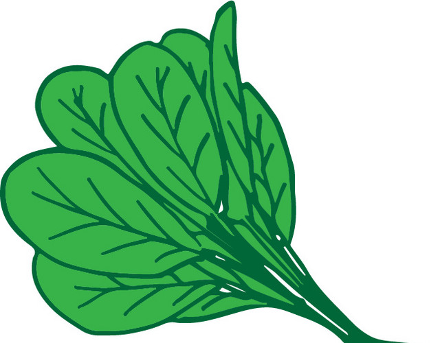 绿色简约菜叶矢量素材