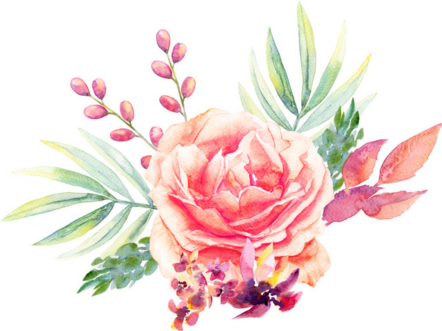 红色手绘花朵水彩插画