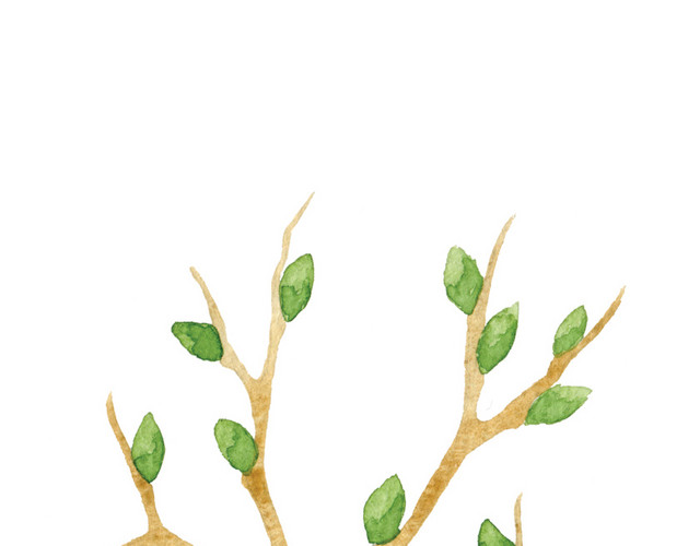 绿色清新树苗水彩插画