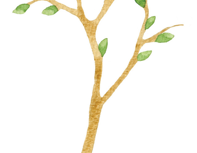 绿色清新树苗水彩插画