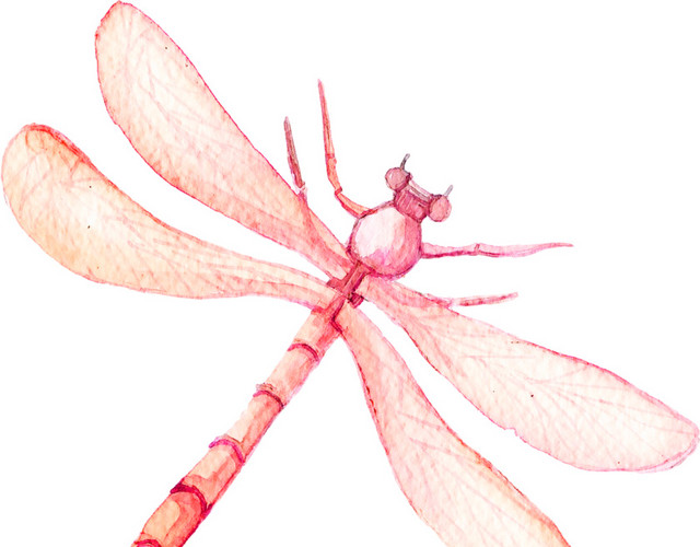 水彩插画矢量素材