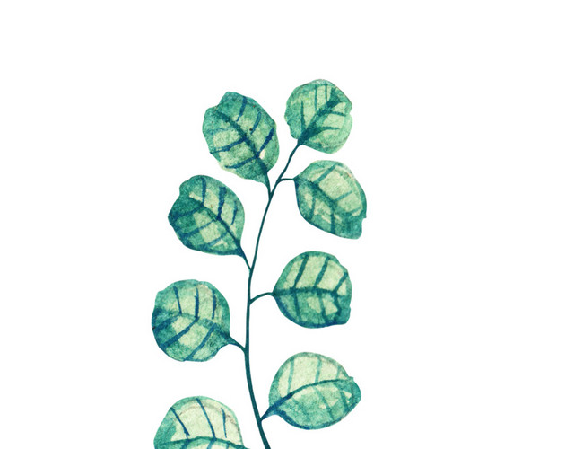 水彩叶子植物素材