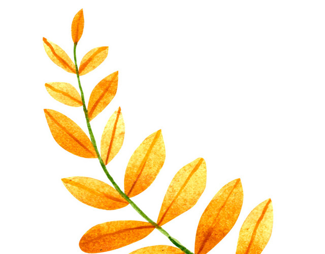水彩叶子植物素材
