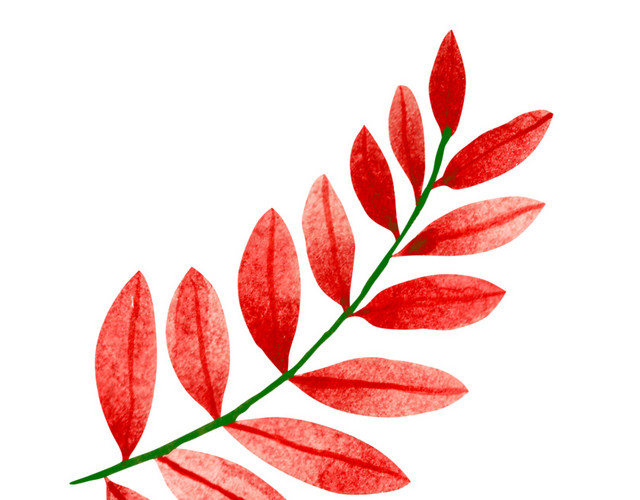 水彩叶子植物