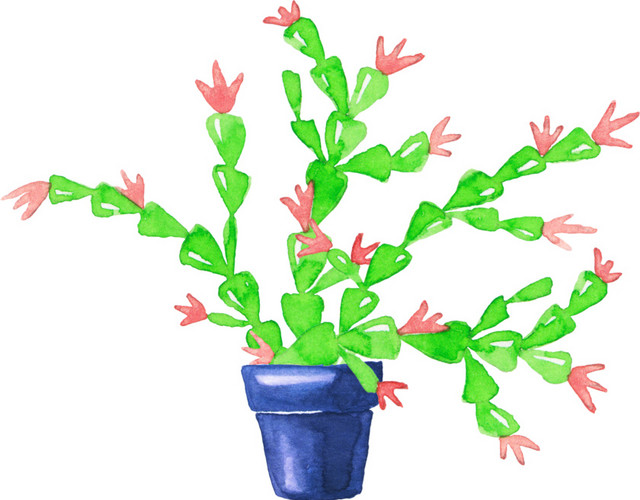 手绘植物素材