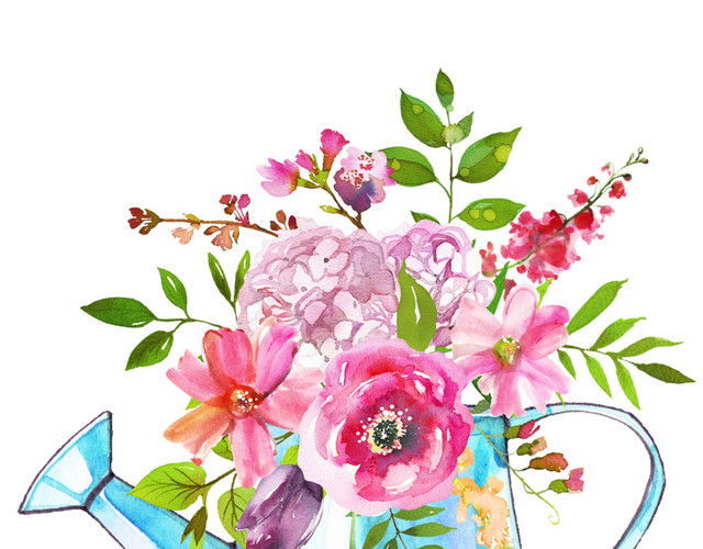 花卉素材