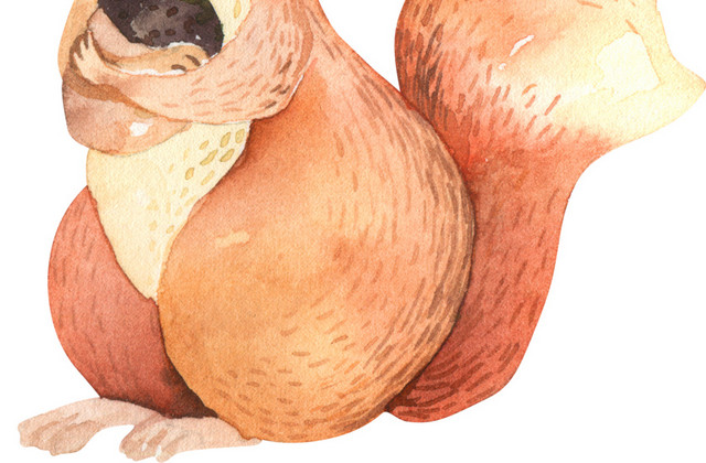 松鼠素材