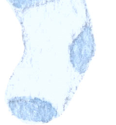 袜子素材