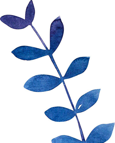 水彩植物叶子素材