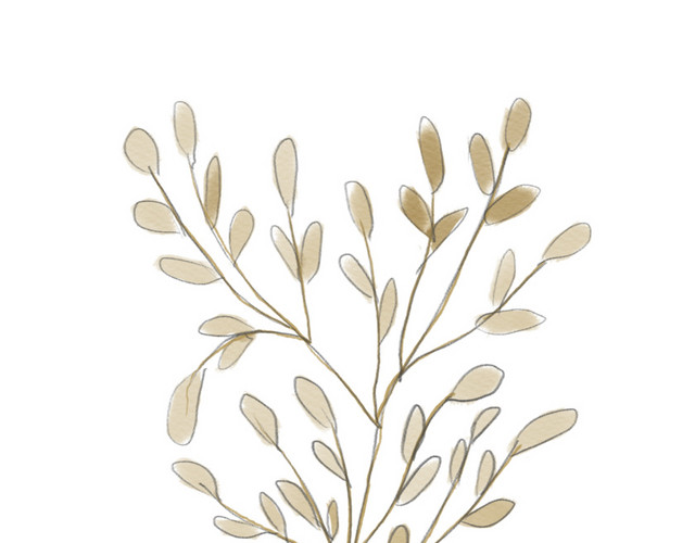 水彩植物叶子素材