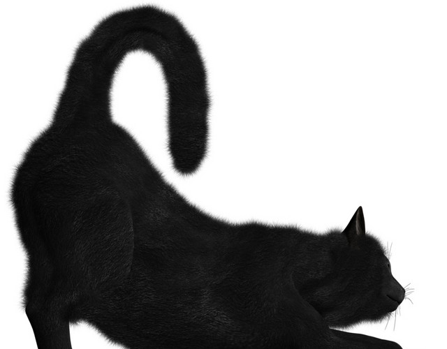 黑色水墨猫图标素材