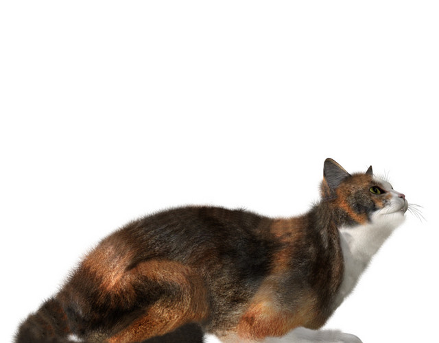 猫矢量素材