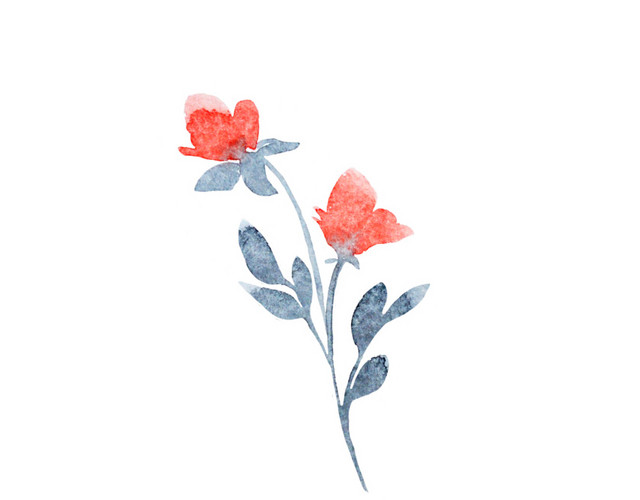 水彩花朵插画素材