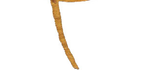 黄叶秋叶彩墨素材
