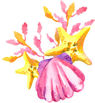彩色海星扇贝手绘素材