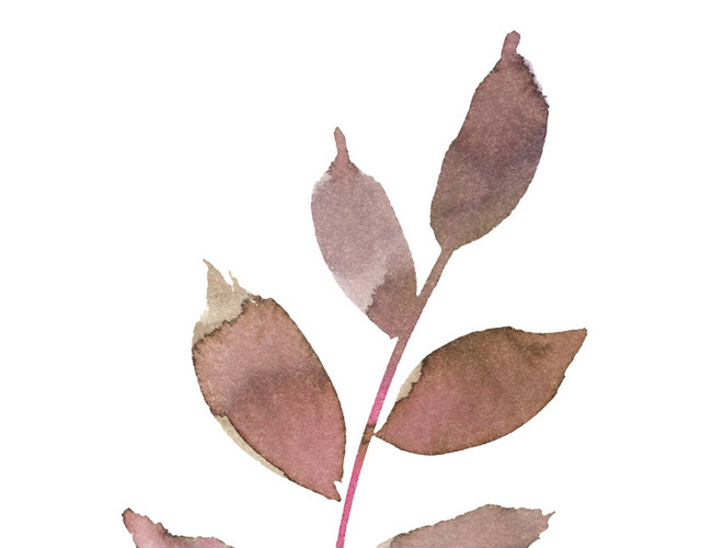 水彩叶子粉色树叶素材
