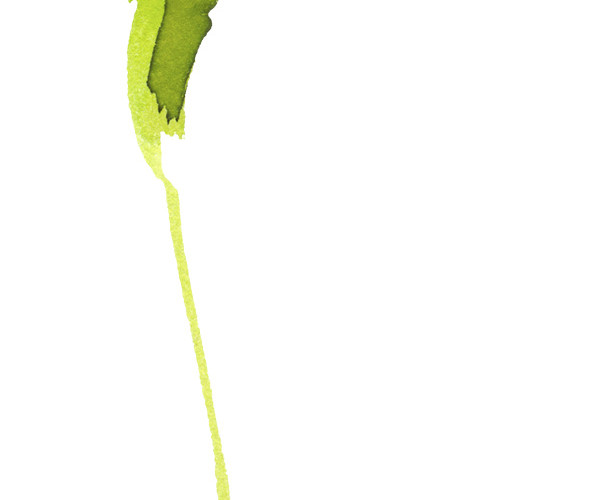 彩色手绘水彩花素材