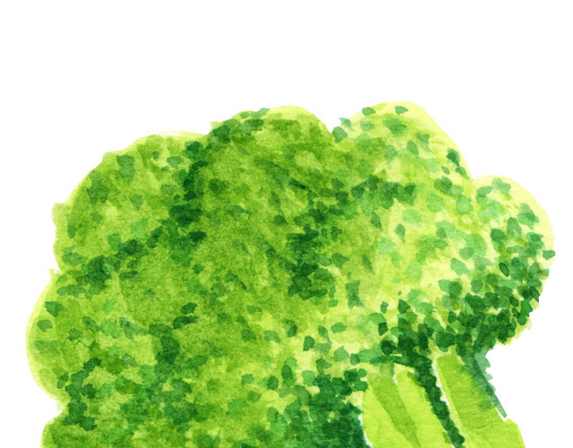 插画矢量素材