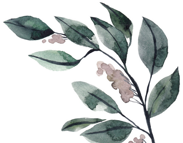 插画矢量素材