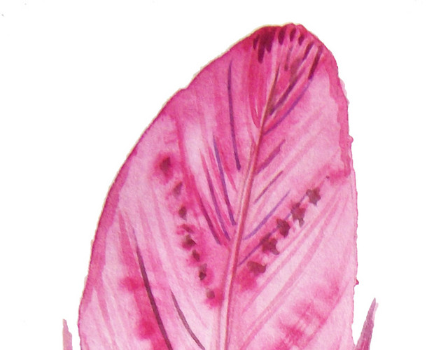 插画矢量素材