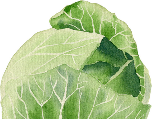 插画矢量素材