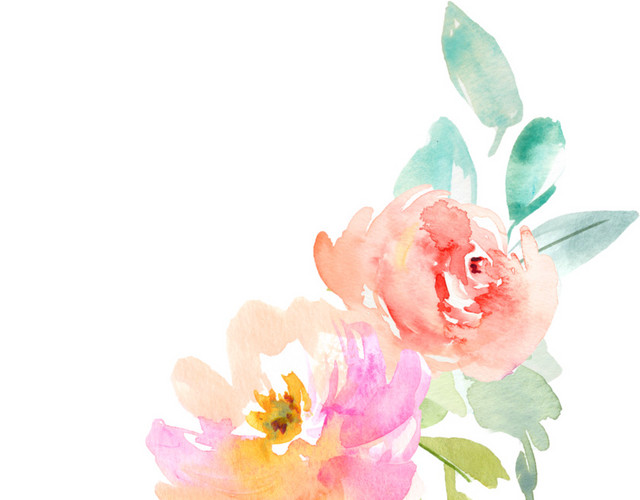 彩色清新花朵手绘水彩插画