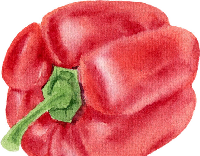 红色手绘蔬菜菜椒水彩插画