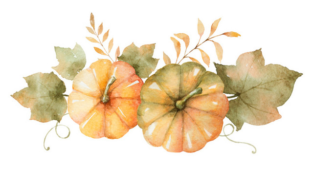 彩色清新蔬菜南瓜手绘水彩插画