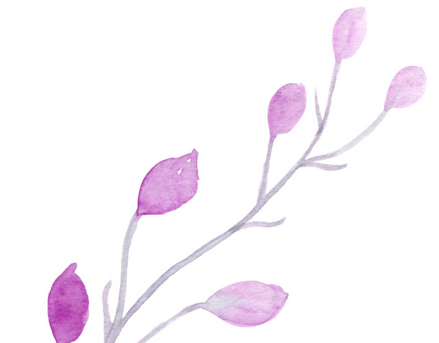 彩色手绘花枝水彩插画