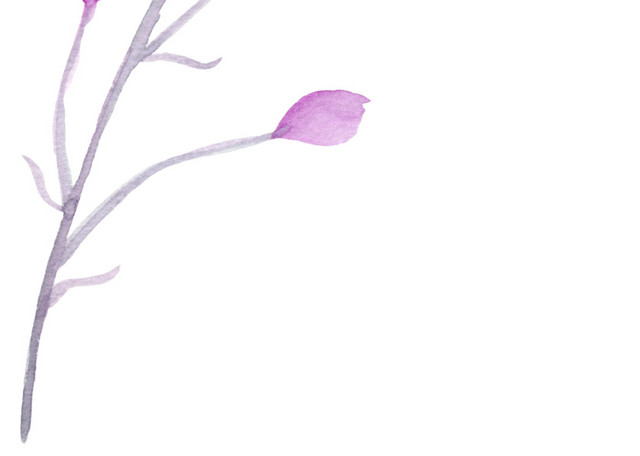 彩色手绘花枝水彩插画