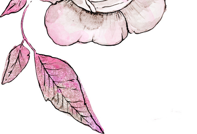 粉色手绘花朵水彩插画