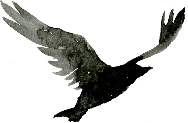 黑色手绘雄鹰水墨画
