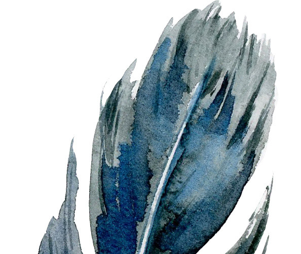 蓝色手绘羽毛水彩插画