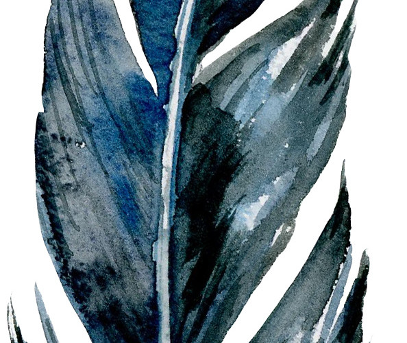 蓝色手绘羽毛水彩插画