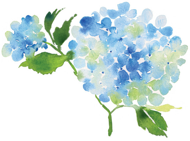 蓝色手绘花朵水彩插画