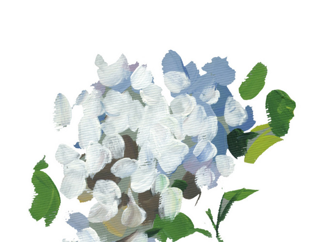 白色手绘满天星水彩插画