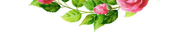手绘卡通装饰花瓣花草装饰海报设计